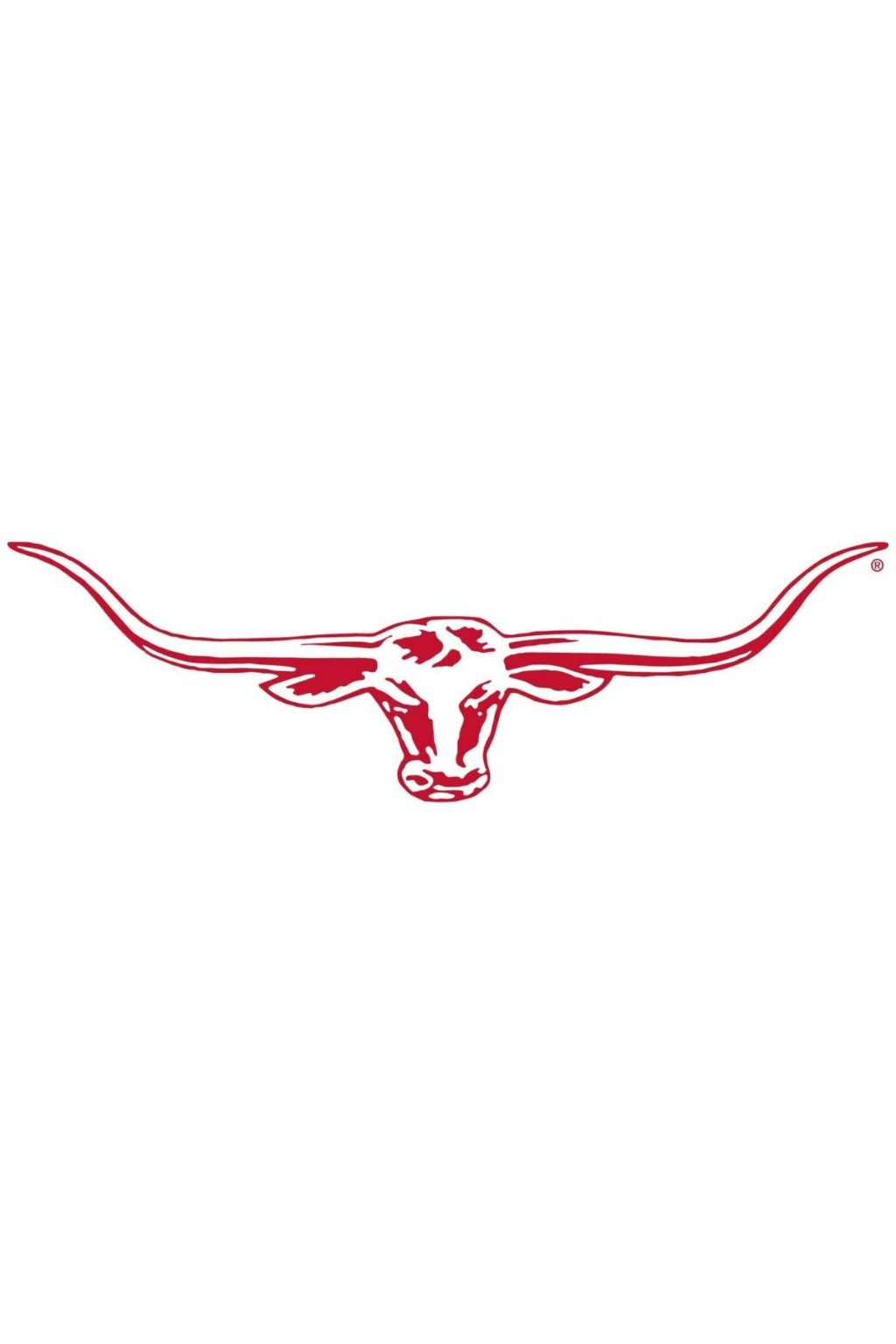 R.M.W Longhorn Decal