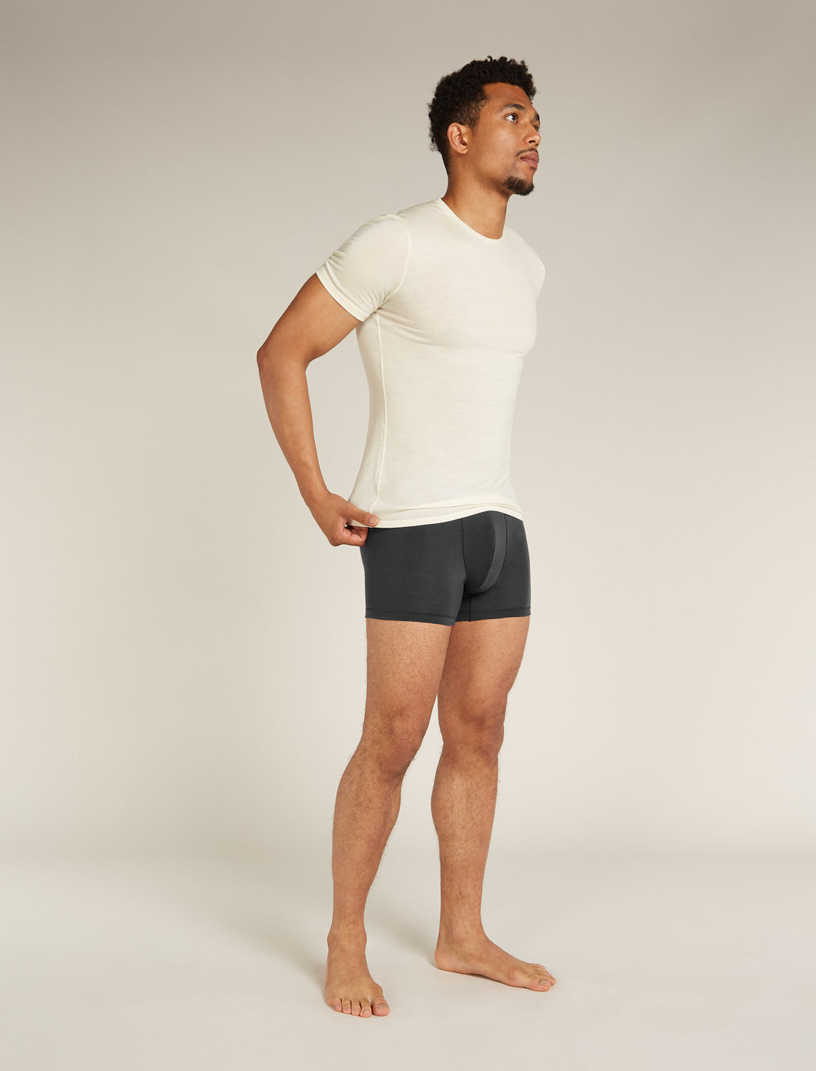 Icebreaker M Merion 150 Anatomica Boxers