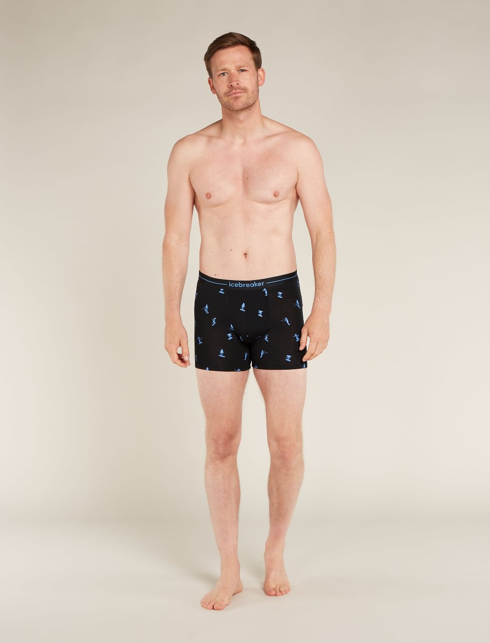 Icebreaker M Merino 150 Anatomica Boxers Ski Day