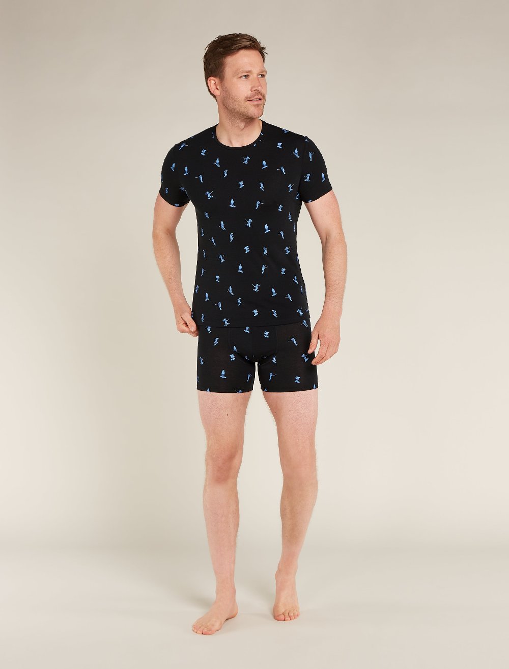 Icebreaker M Merino 150 Anatomica Boxers Ski Day