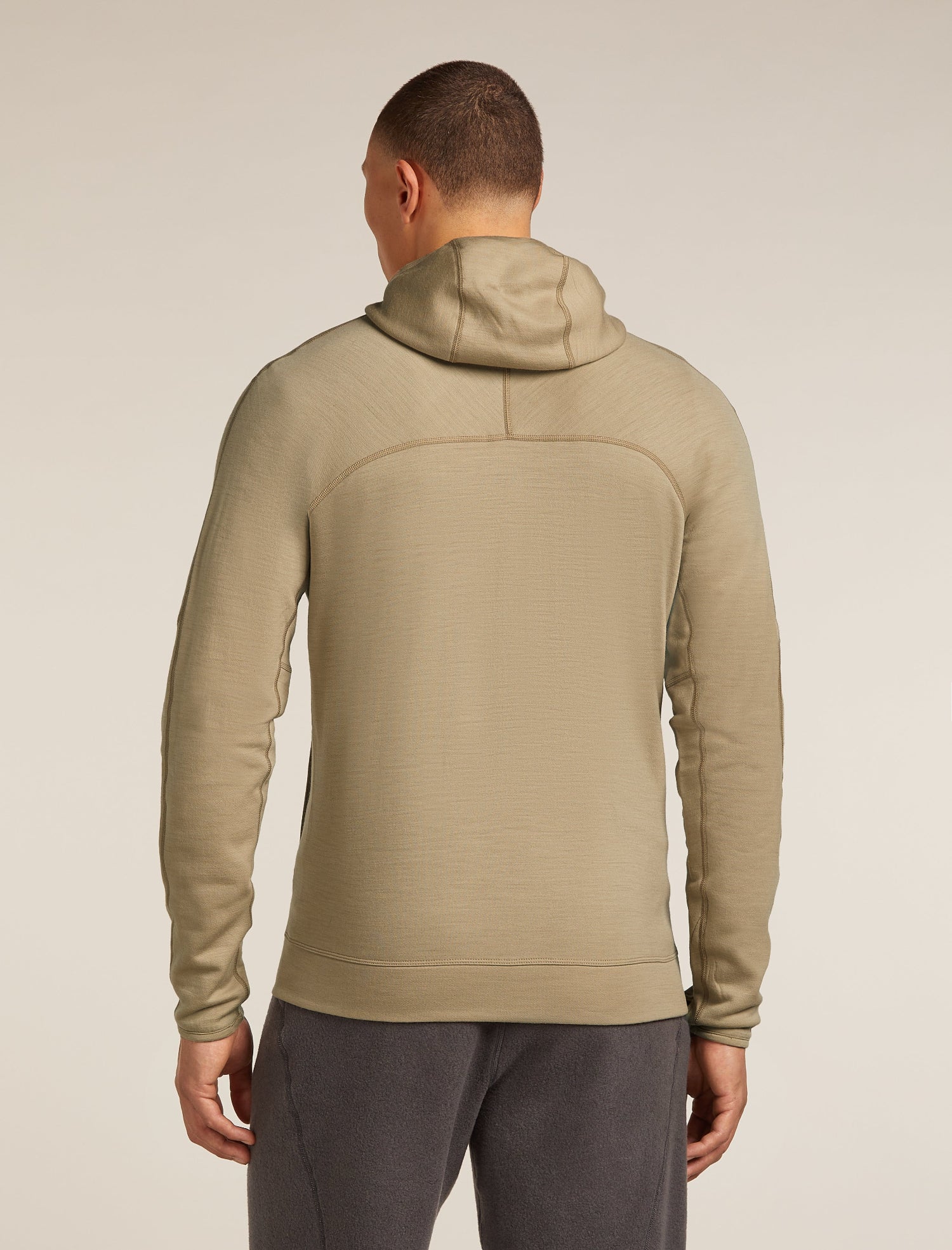 Icebreaker M Merino 360 RealFleece Elemental LS Zip Hood