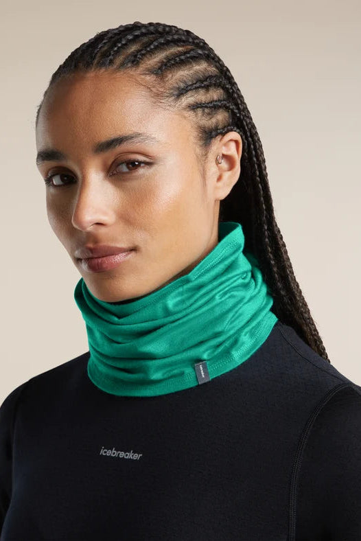 Icebreaker Merino 200 Oasis Flexi Chute