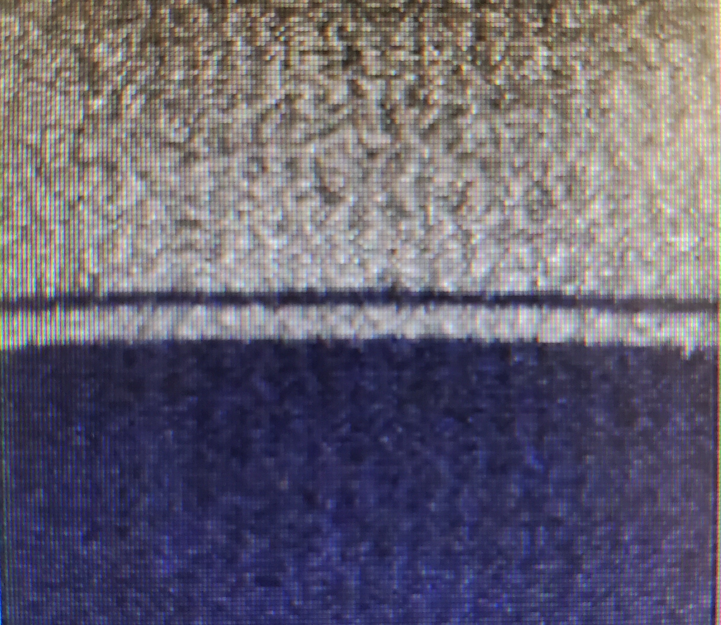 Noble Wilde Mount Tasman II