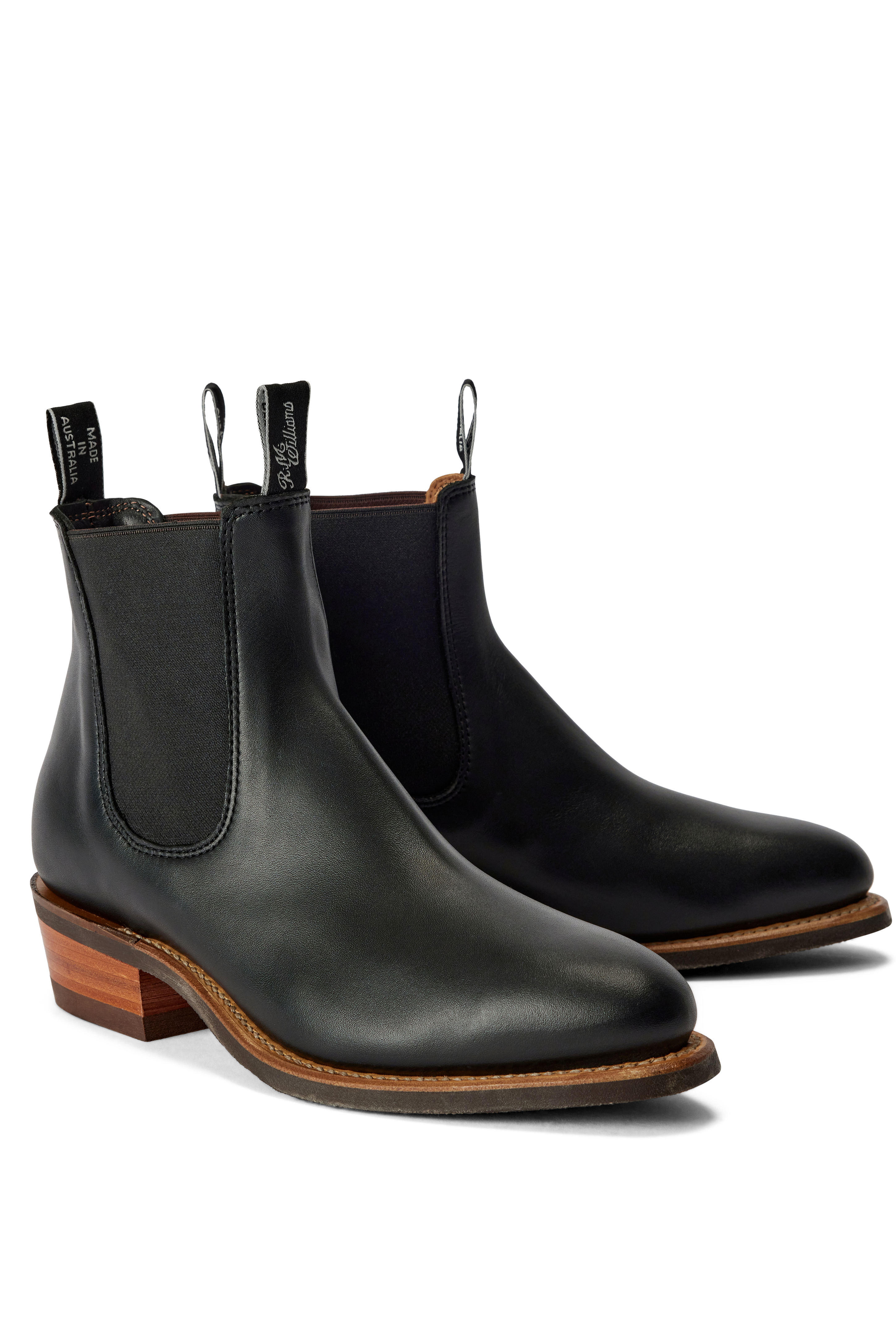 R.M.W Comfort Lady Yearling