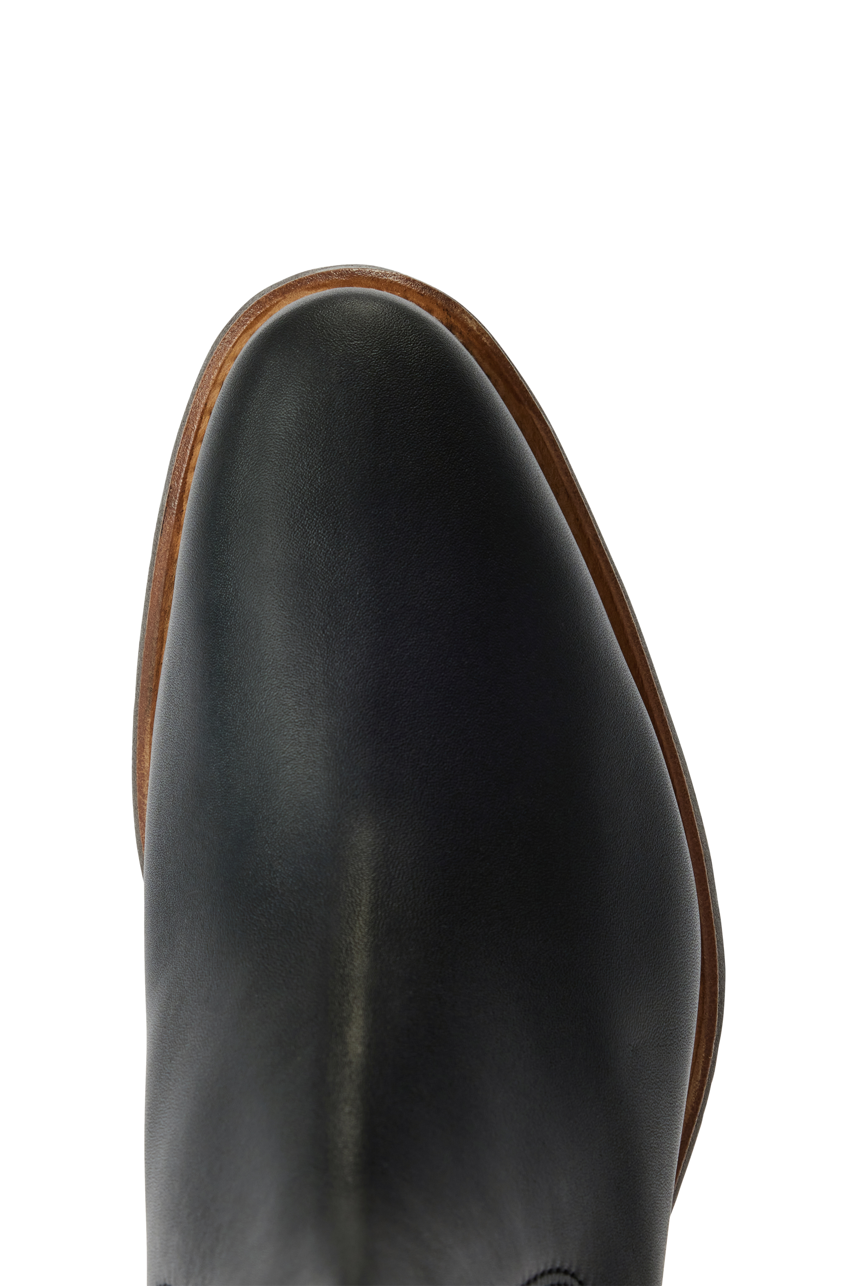 R.M.W Comfort Lady Yearling