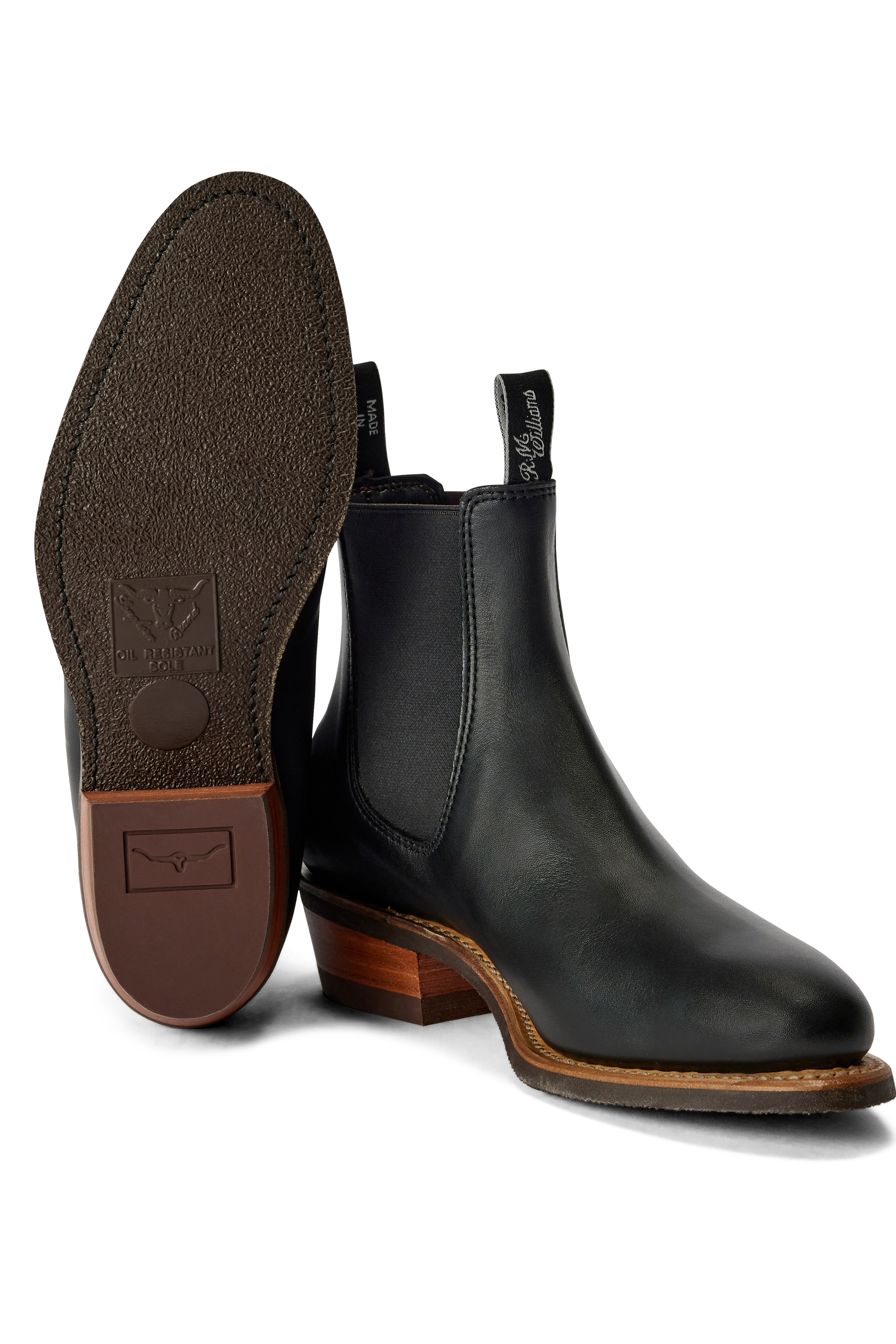 R.M.W Comfort Lady Yearling