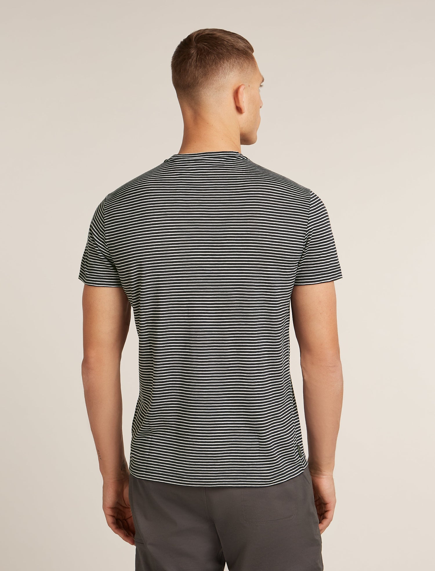 Icebreaker M Merino 150 Tech Lite Tee