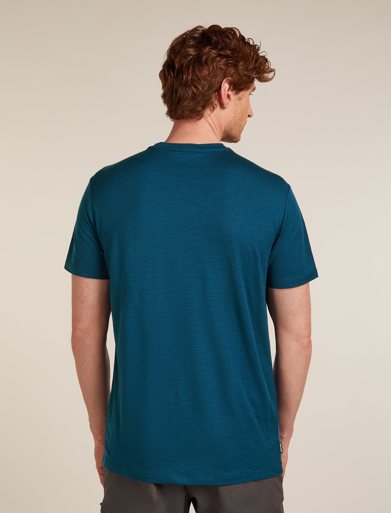 Icebreaker M Merino Tech Lite SS Tee Ruapehu Round