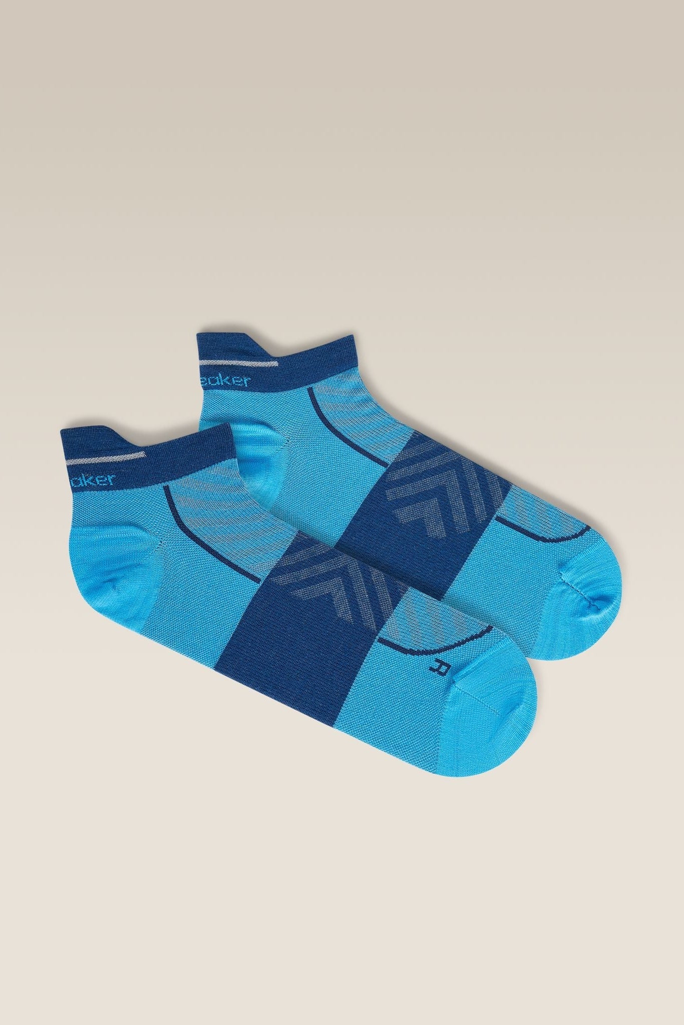 IceBreaker M M Run+ Ultralight Micro