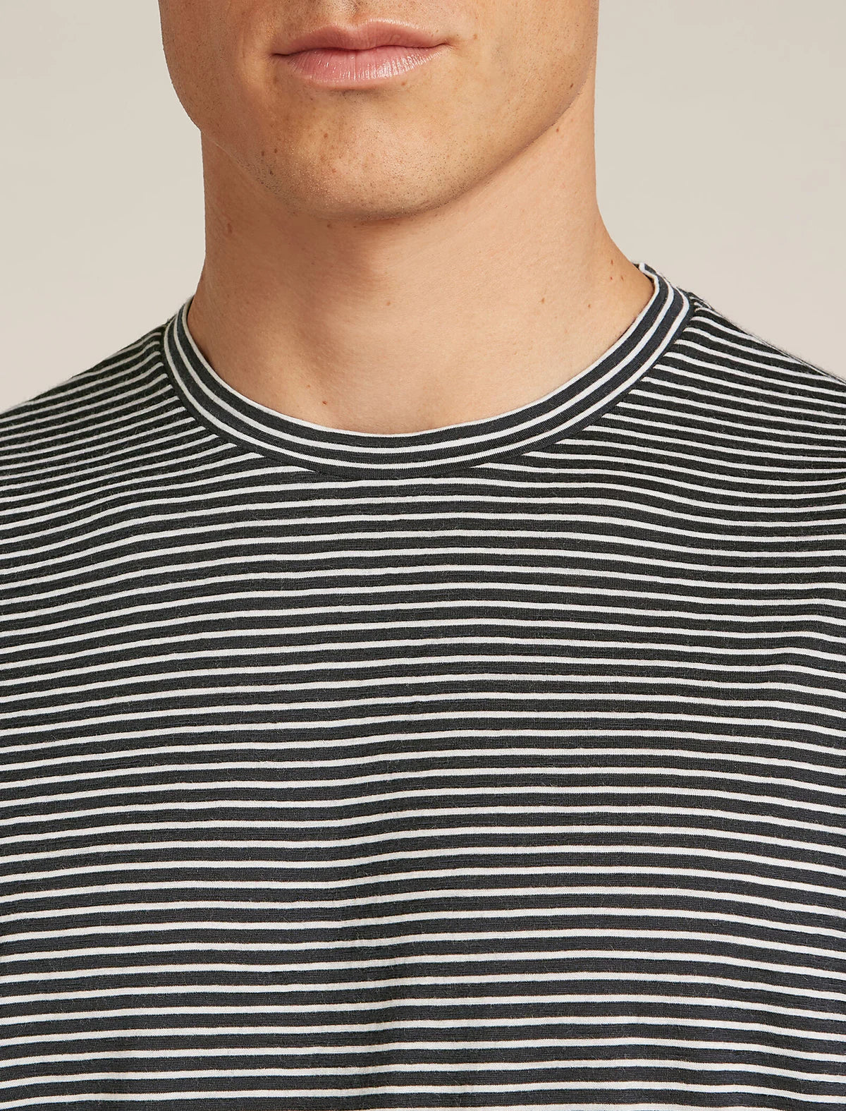 Icebreaker M Merino 150 Tech Lite Tee